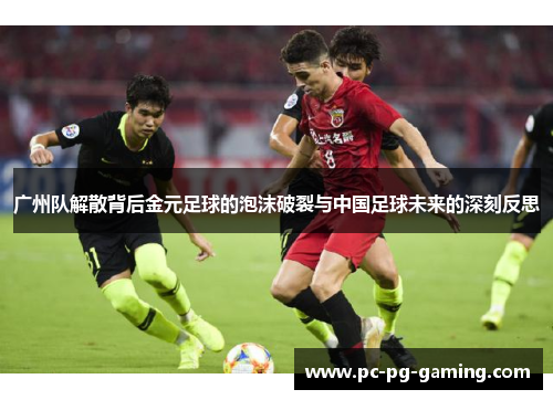 广州队解散背后金元足球的泡沫破裂与中国足球未来的深刻反思
