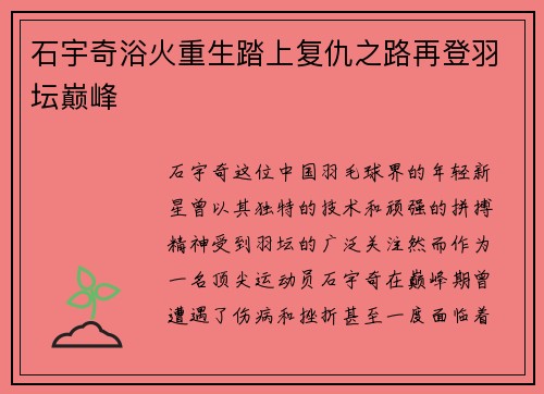 石宇奇浴火重生踏上复仇之路再登羽坛巅峰