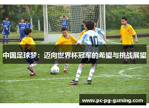 中国足球梦：迈向世界杯冠军的希望与挑战展望