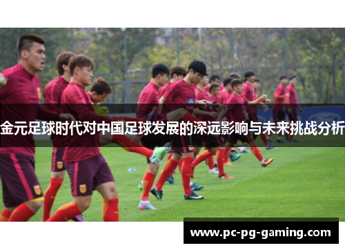 金元足球时代对中国足球发展的深远影响与未来挑战分析