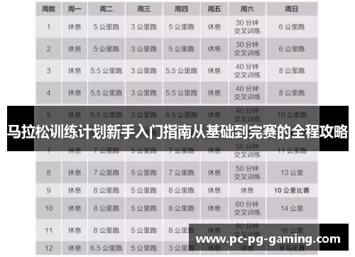 马拉松训练计划新手入门指南从基础到完赛的全程攻略