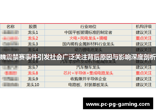 魏震禁赛事件引发社会广泛关注背后原因与影响深度剖析