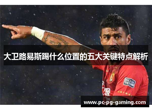 大卫路易斯踢什么位置的五大关键特点解析 大卫路易斯踢什么位置的五大关键特点解析