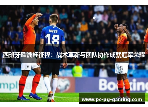 西班牙欧洲杯征程:战术革新与团队协作成就冠军荣耀 西班牙欧洲杯征程:战术革新与团队协作成就冠军荣耀